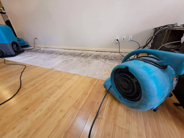 Professional Water Extraction technician working in Gardner, IL